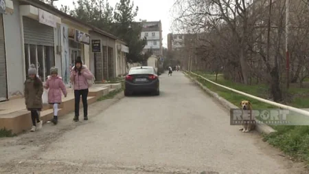 Ötən il Şirvanda 1422 nəfəri it dişləyib, onlardan 218-i uşaqdır