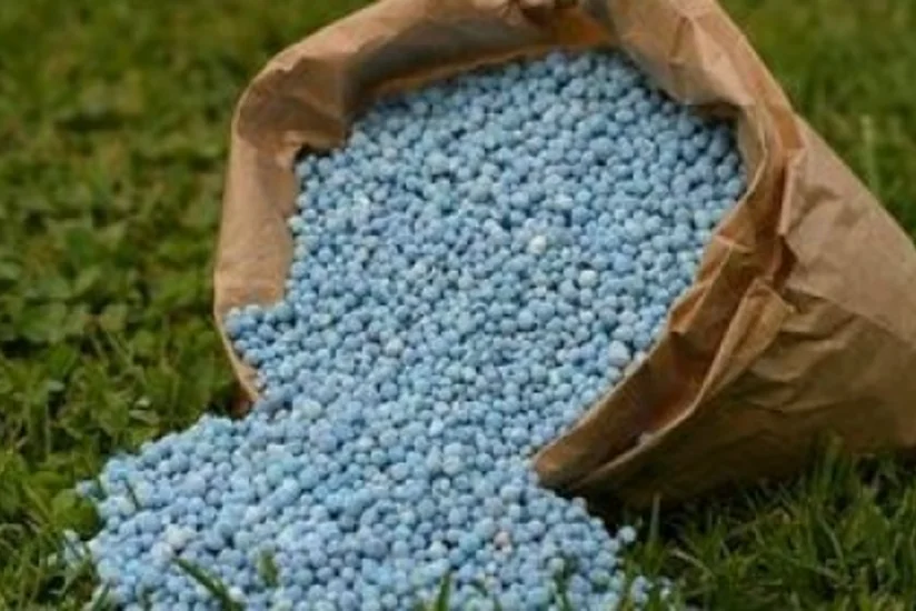 Azərbaycanda fermerlərə 7,3 mln. manatlıq mineral gübrələr veriləcək