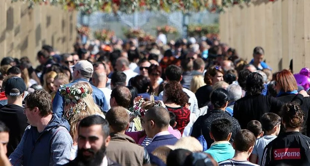 Население Грузии сократилось