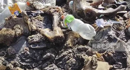 Qubada yaşayış massivi zibilliyə çevrilib, ərazini üfunət bürüyüb