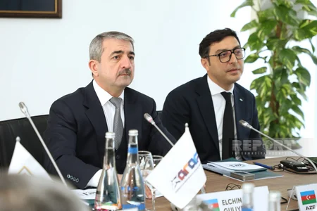 Beynəlxalq Çövkən Federasiyasının təsis edilməsi ilə əlaqədar I Baş Assambleya öz işinə başlayıb