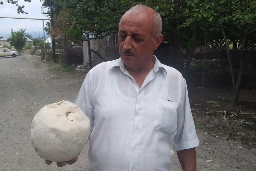 İsmayıllı sakini 3 kq-lıq göbələk tapıb