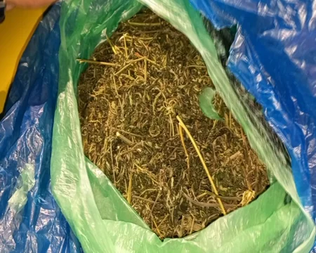Qaxda 10 kq narkotik vasitə dövriyyədən çıxarılıb, 5 nəfər tutulub