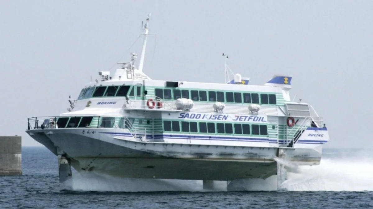 87 people injured as ferry hits whale