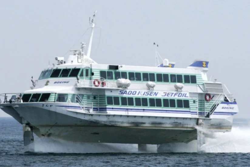 87 people injured as ferry hits whale
