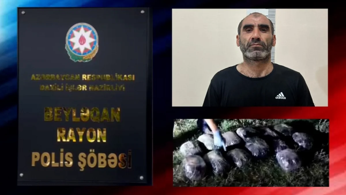 Polis Beyləqanda 16 kiloqram marixuana və həşiş aşkarlayıb