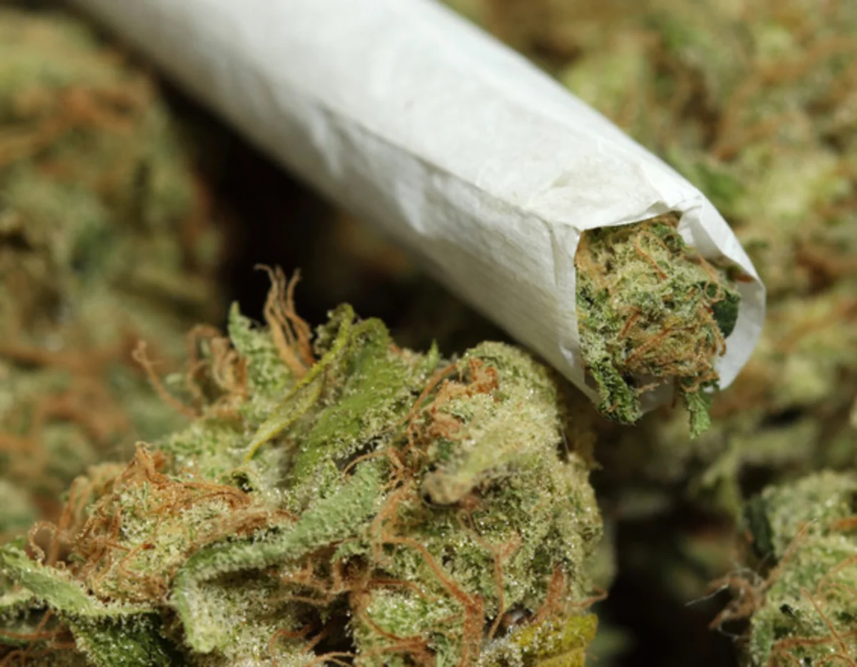 Meksikada 149 ton narkotik maddə məhv edilib