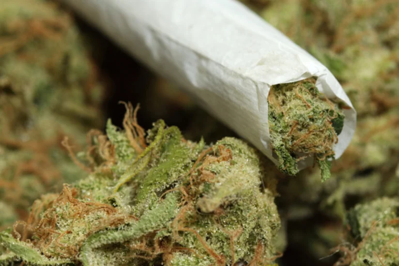 Meksikada 149 ton narkotik maddə məhv edilib