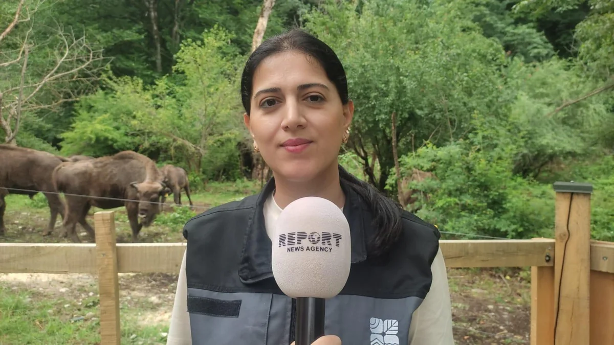 Azərbaycanda 200 min hektardan çox su-bataqlıq ərazisi var