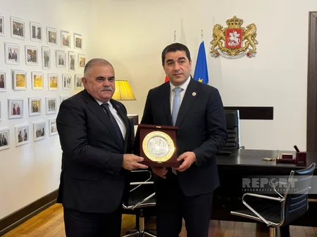 Gürcüstan Parlamentinin sədri: Azərbaycan bizə dəstəyi əməldə göstərib