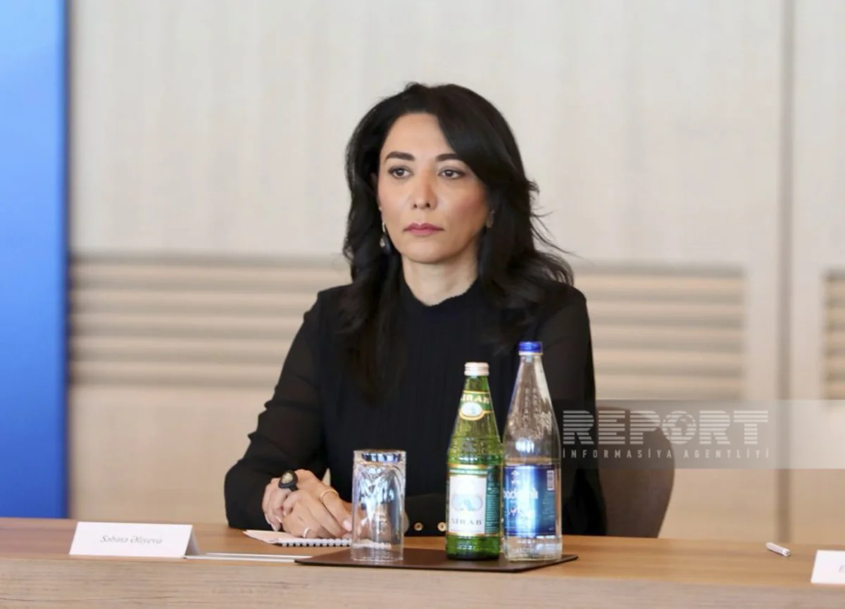 Milli Məclis ombudsmanın illik məruzəsini qəbul edib - YENİLƏNİB