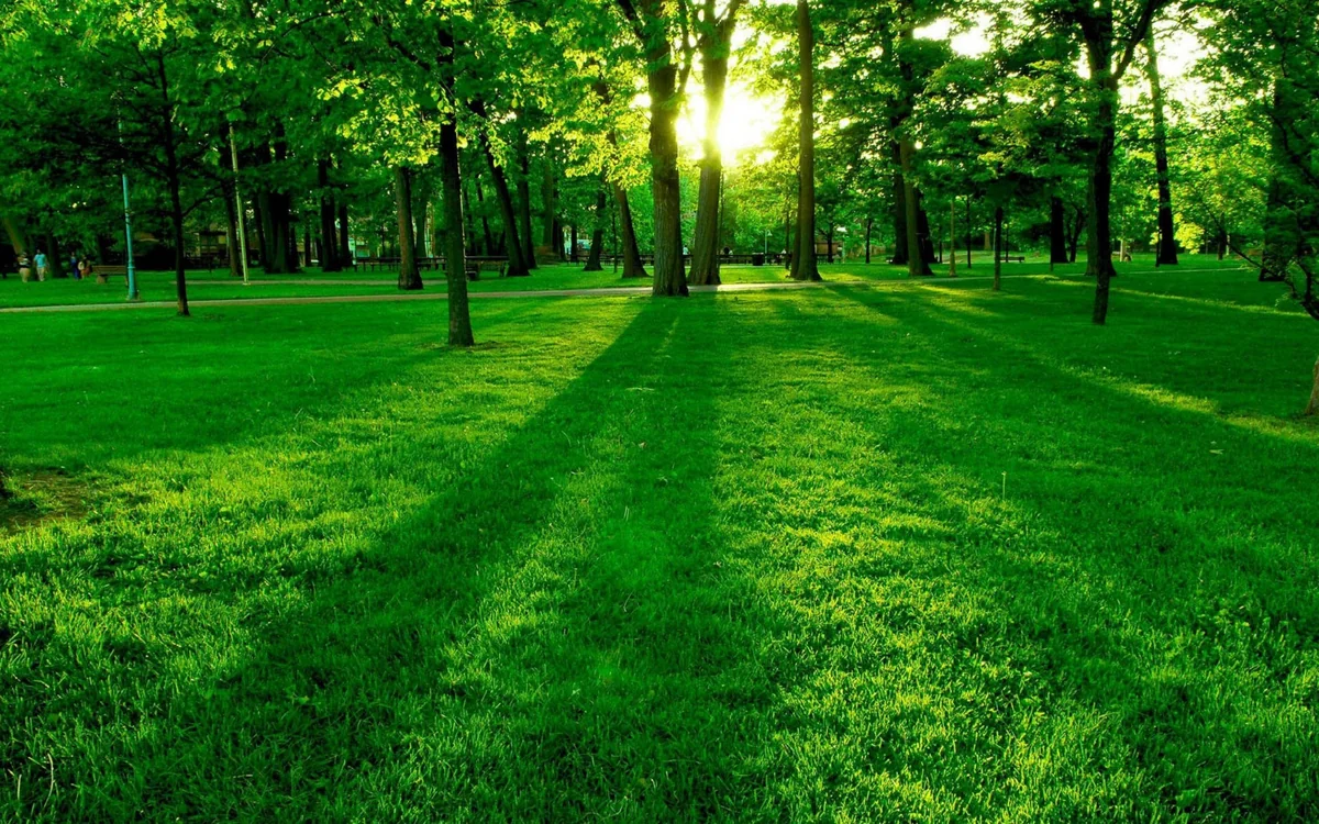 Sabahın hava proqnozu açıqlanıb