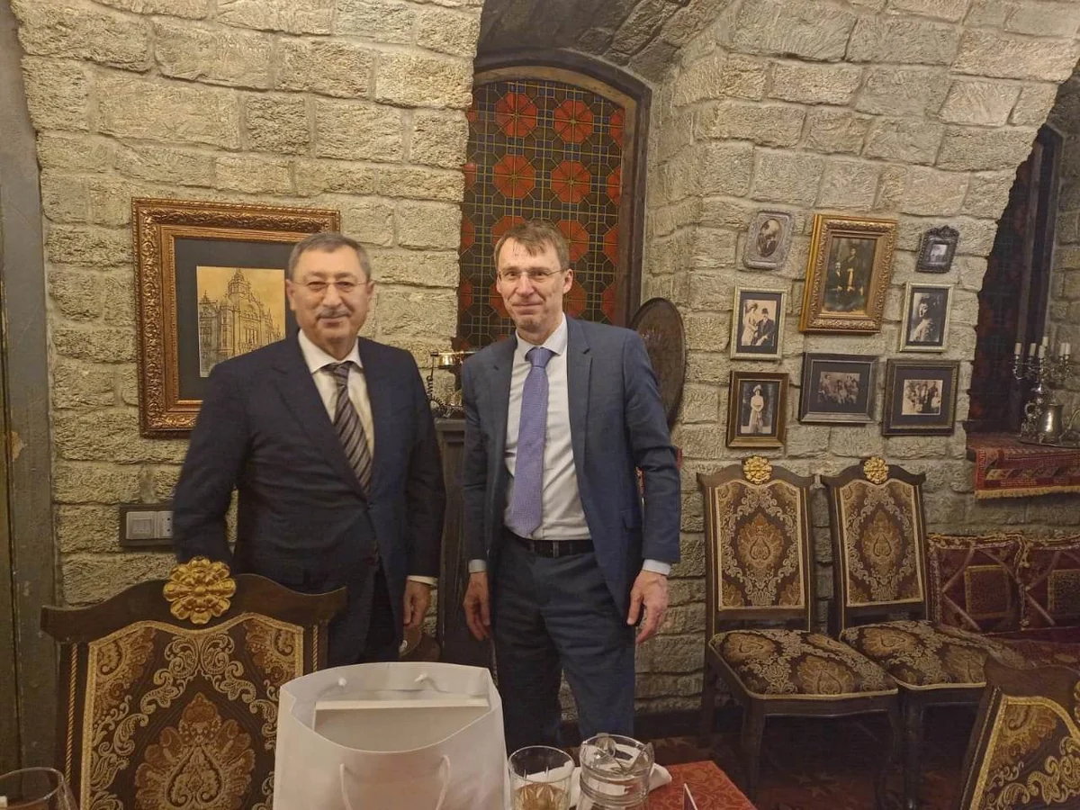 МИД Азербайджана и Чехии провели политические консультации