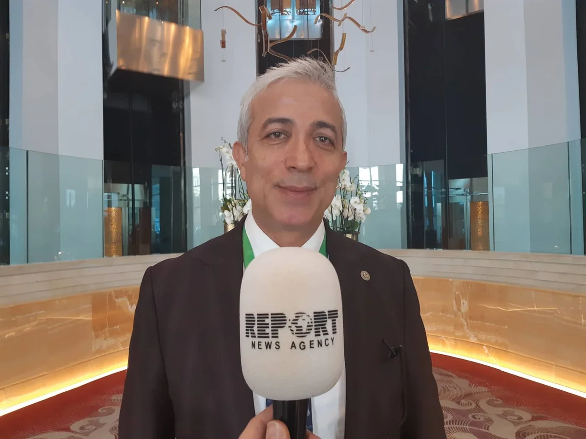 Turkish MP: Elections in Azerbaijan cannot be anti-democratic