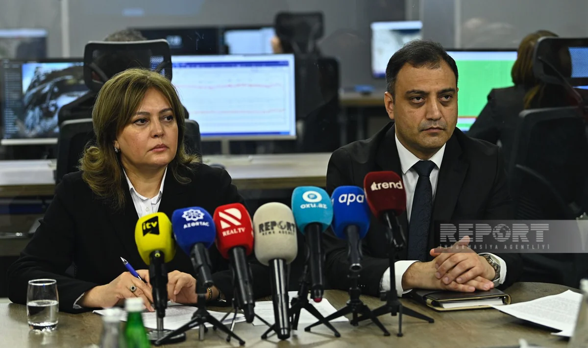 Nazir müavini: Azad edilmiş ərazilərdə karbon neytrallığı zonasının yaradılması üçün işlər görülür