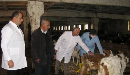 Astarada epizootiya əleyhinə profiloktik tədbirlər aparılır