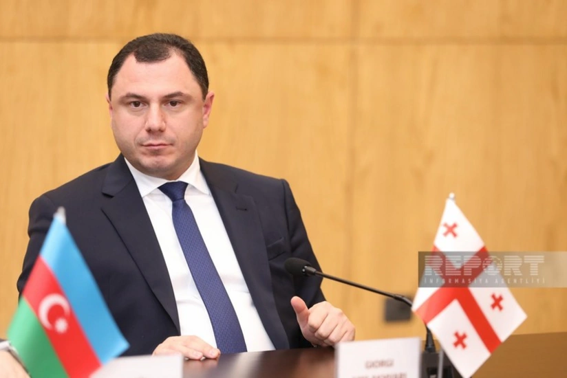 Gürcüstanın təhsil, elm və gənclər naziri istefa verib