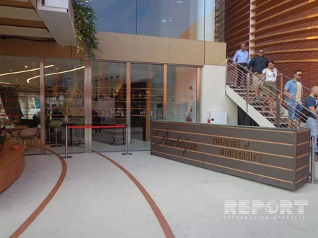 Павильон Азербайджана на выставке EXPO-2015 в Милане - ФОТОРЕПОРТАЖ