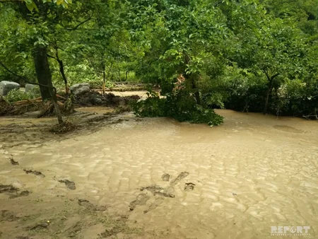 Balakəndə çay daşıb, 680-dən çox evi su basıb, 8 avtomobil körpüsünü sel aparıb - FOTO - VİDEO - YENİLƏNİB-2