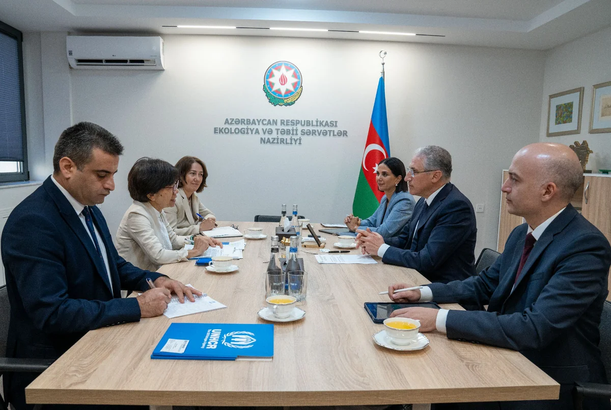 Мухтар Бабаев обсудил с представителем ООН подготовку к COP29