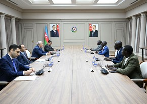 PM Ali Asadov meets with Senegal's Minister of Public Service and Public Service Reform