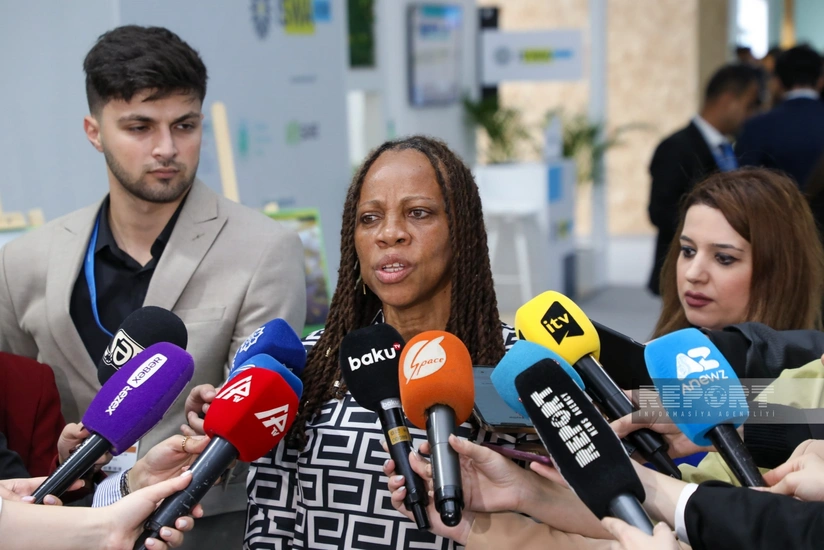 Sint-Marten təmsilçisi: Avropa müstəmləkəçiləri törətdikləri qeyri-insani hərəkətlərin nəticələrini etiraf etməli olacaqlar