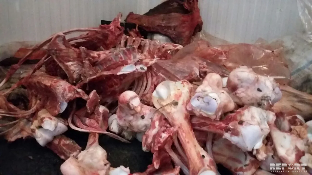 Bərdədə 110 kilo at əti satışının qarşısı alınıb - FOTO
