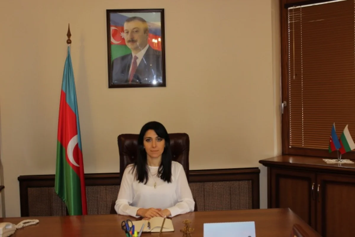 Ambassador: SOCAR seeks potential opportunities in Bulgarian oil market