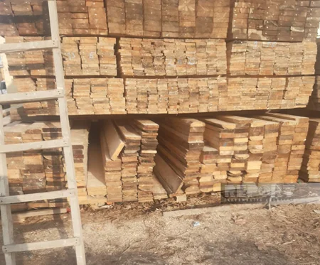 Biləsuvarda tikintidə istifadə olunan taxta materiallar ucuzlaşıb