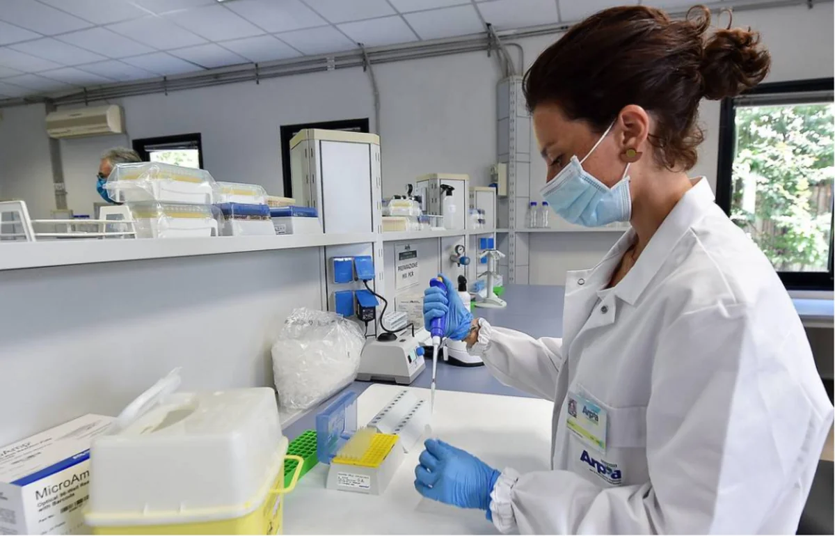 Scientists find out why human brain is bigger than chimpanzee’s