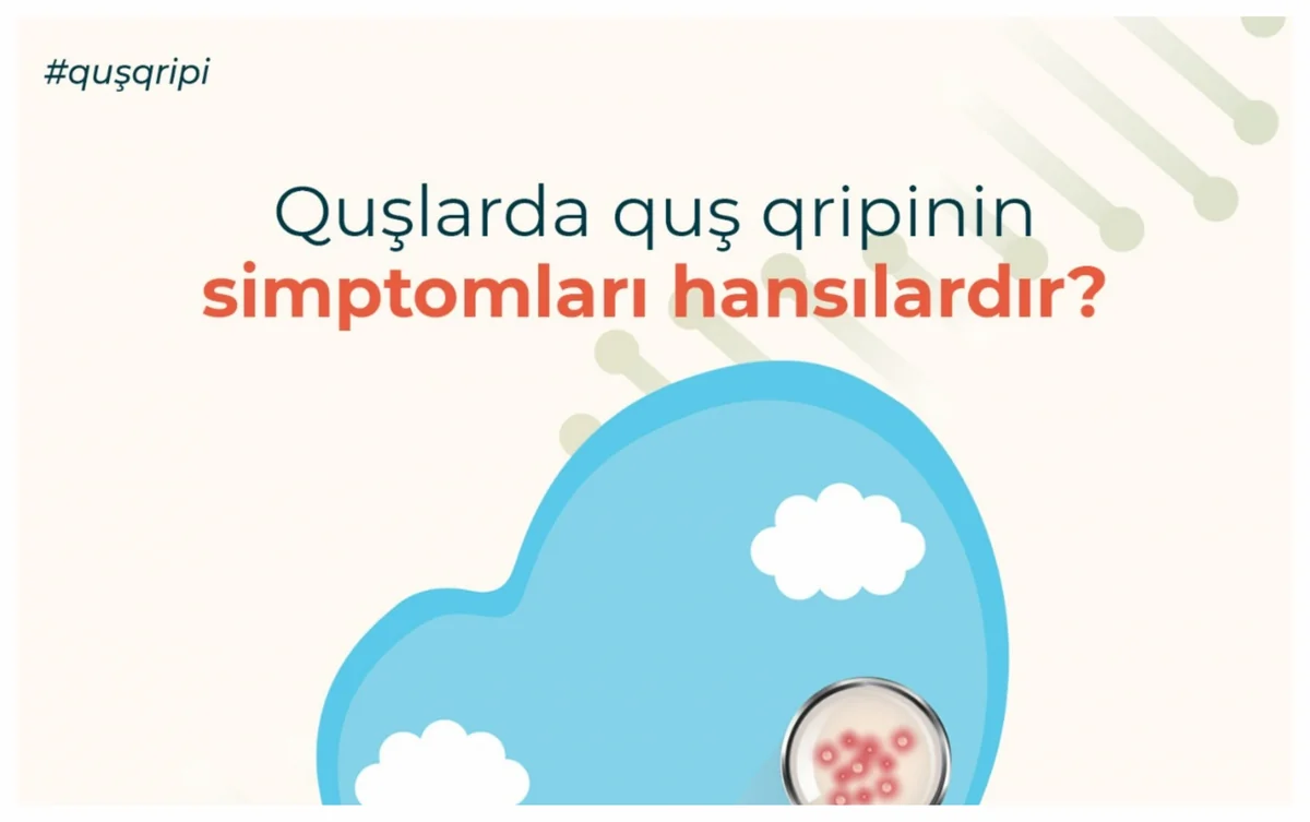 AQTA quş qripi xəstəliyi bağlı əhaliyə xəbərdarlıq edib