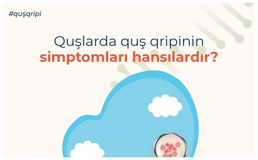 AQTA quş qripi xəstəliyi bağlı əhaliyə xəbərdarlıq edib