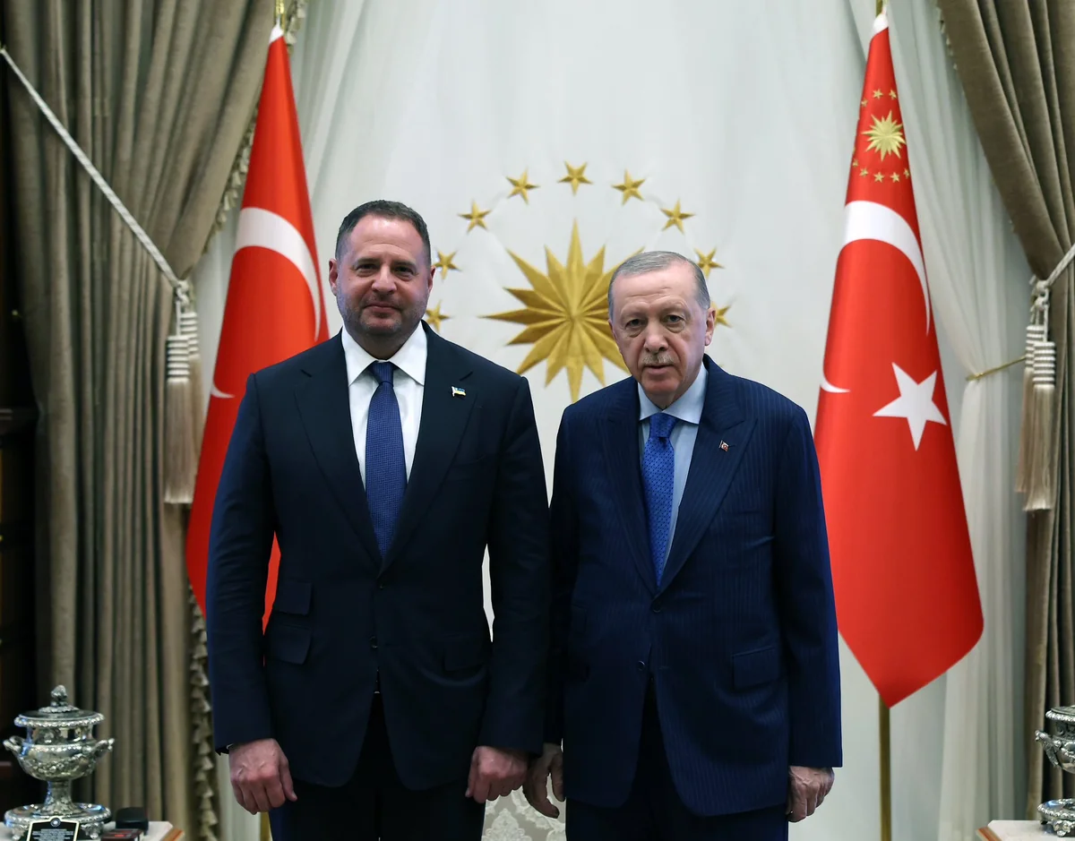 Эрдоган принял украинскую делегацию в Стамбуле