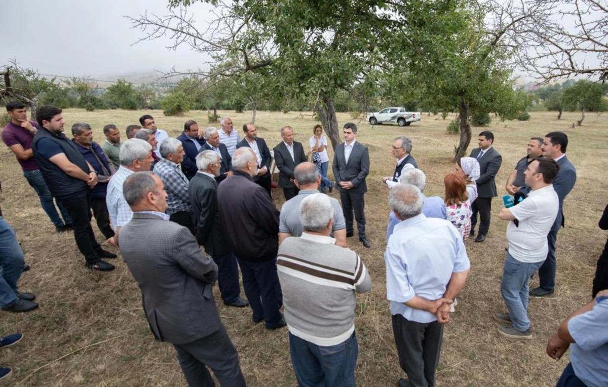 Lerikdə fermerlərlə taxıl biçininin təşkili barədə müzakirələr aparılıb