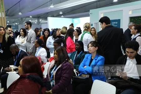 Seminar on renewable energy implementation held at COP29 National NGO Forum Pavilion