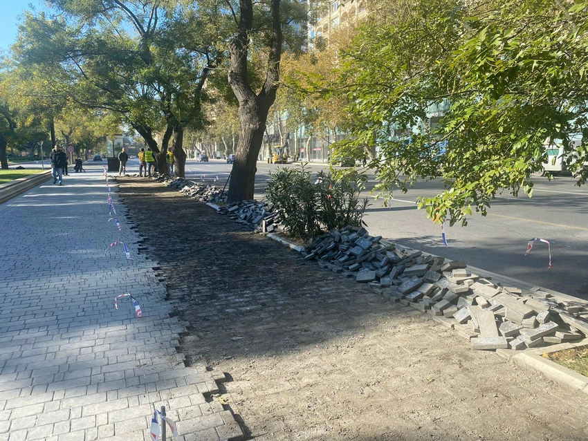 Bakının mərkəzi küçələrində velosiped yolları çəkilir
