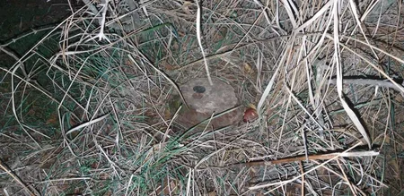 Ağcabədidə tank əleyhinə minanın partladıcısı aşkarlanıb - FOTO