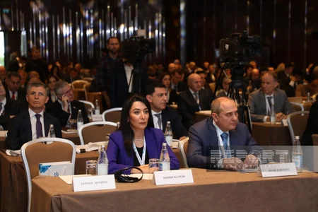 Bakıda “Mina təhlükəsi ilə mübarizə: innovasiyalar və qabaqcıl təcrübələr” konfransı keçirilir