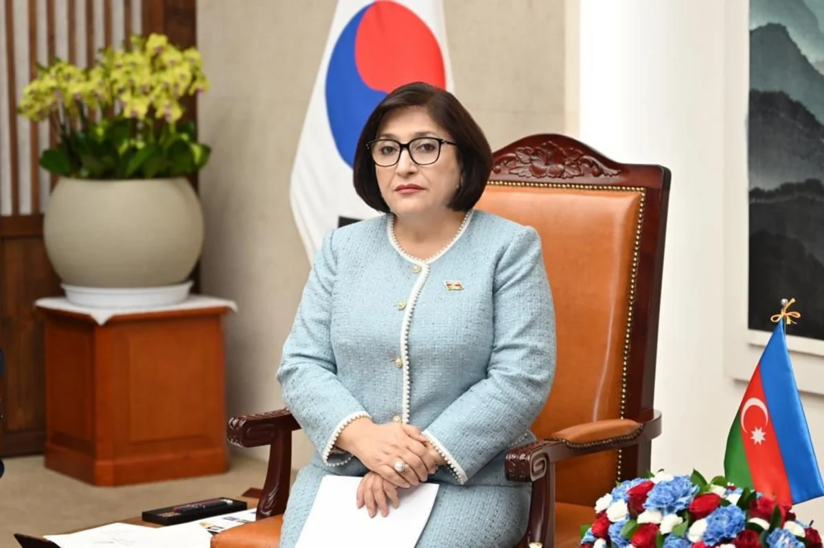 Sahibə Qafarova: Bəzi ölkələr Cənubi Qafqazda sülhün yaranmasını istəmirlər