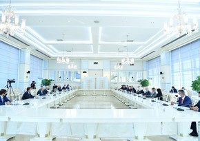 Sahibə Qafarova AKP nümayəndə heyəti ilə görüşüb