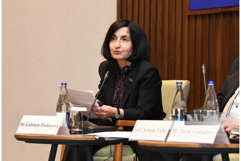 Gülşən Paşayeva: Fransa keçmiş Minsk qrupunun həmsədri olsa da, vasitəçiliyi heç bir nəticə vermədi