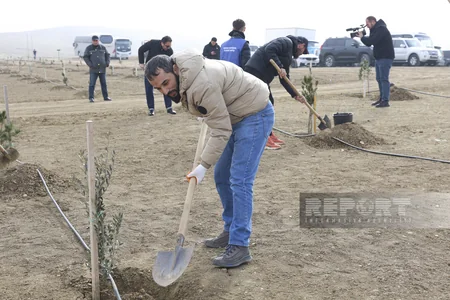 Global Media Group “Yaşıl dünya naminə həmrəylik ili” çərçivəsində ağacəkmə aksiyası keçirib