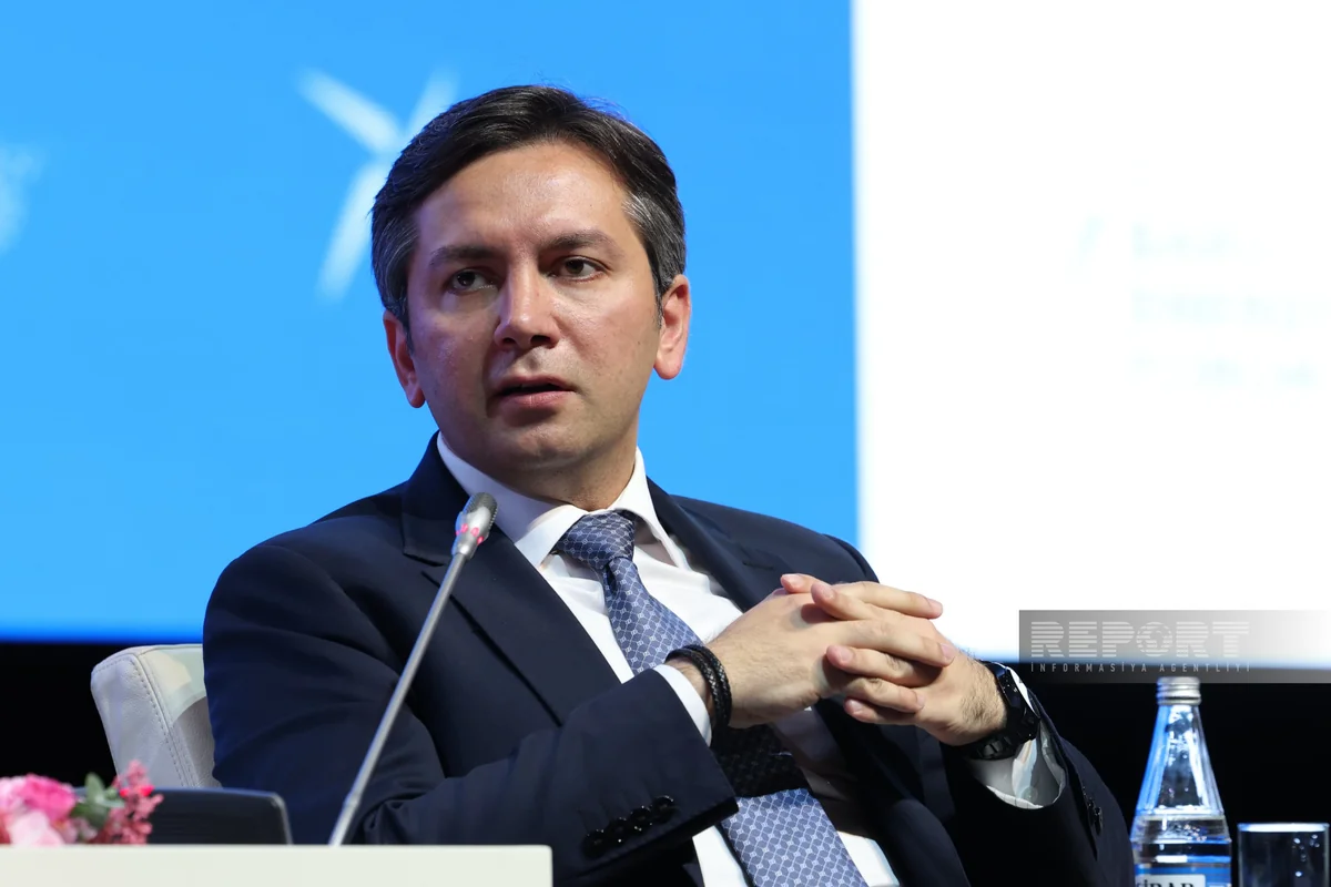 Yalçın Rəfiyev: “COP29 ən əhəmiyyətli və tarixi iqlim konfranslarından biri kimi tanınıb”