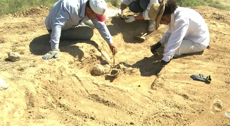 Naxçıvanda antik dövrə aid qəbir abidəsi və keramika nümunələri aşkarlanıb