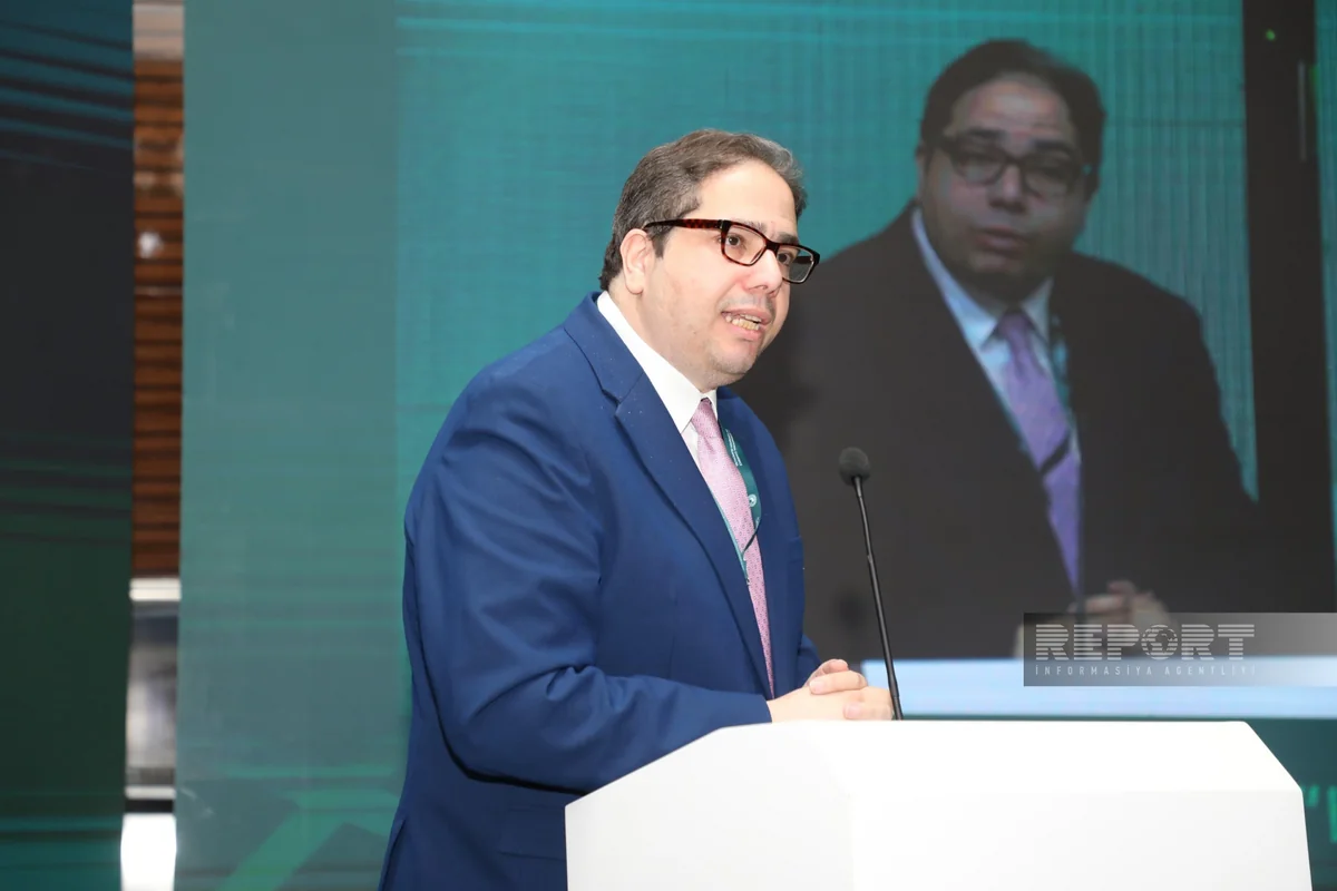 ZMD chief: Non-Muslims should also fight against Islamophobia