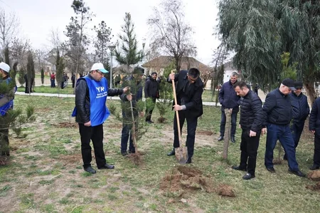 Saatlıda Heydər Əliyevin yubileyi ilə əlaqədar ağacəkmə aksiyası keçirilib