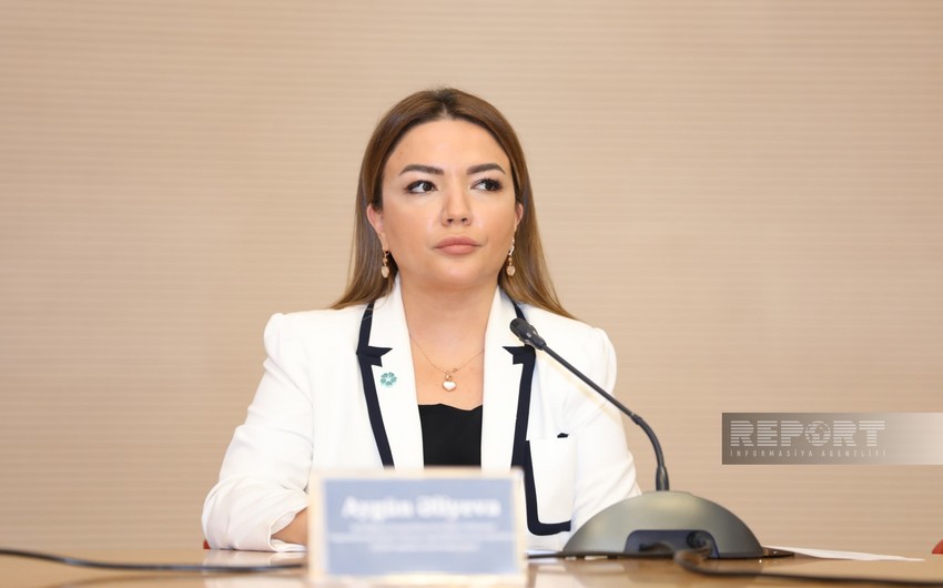 Агентство: В последнем грантовом конкурсе зафиксирован рекорд по числу представленных проектов
