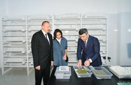 Qax Damazlıq İpəkçilik Stansiyası yenidən qurularaq istifadəyə verilib