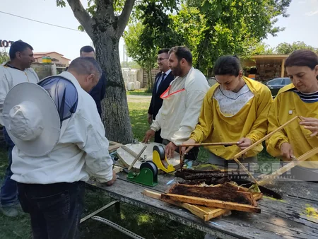 Qəbələdə keçmiş məcburi köçkünlər üçün qısamüddətli təlimlər keçirilib