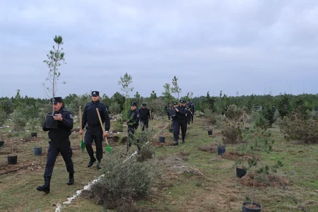 Azərbaycan polisi bir gündə 11 400 ağac əkib